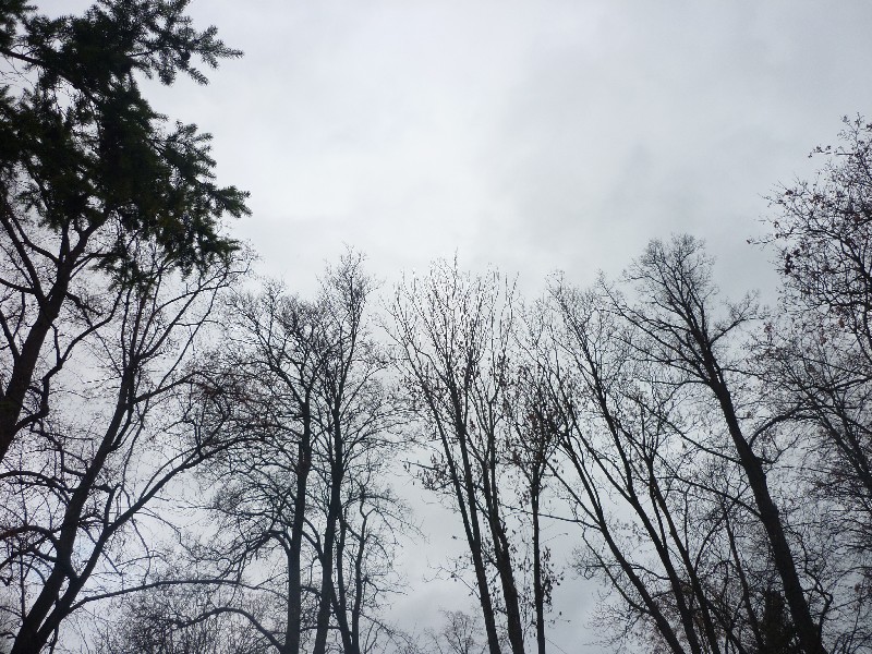 P1030049