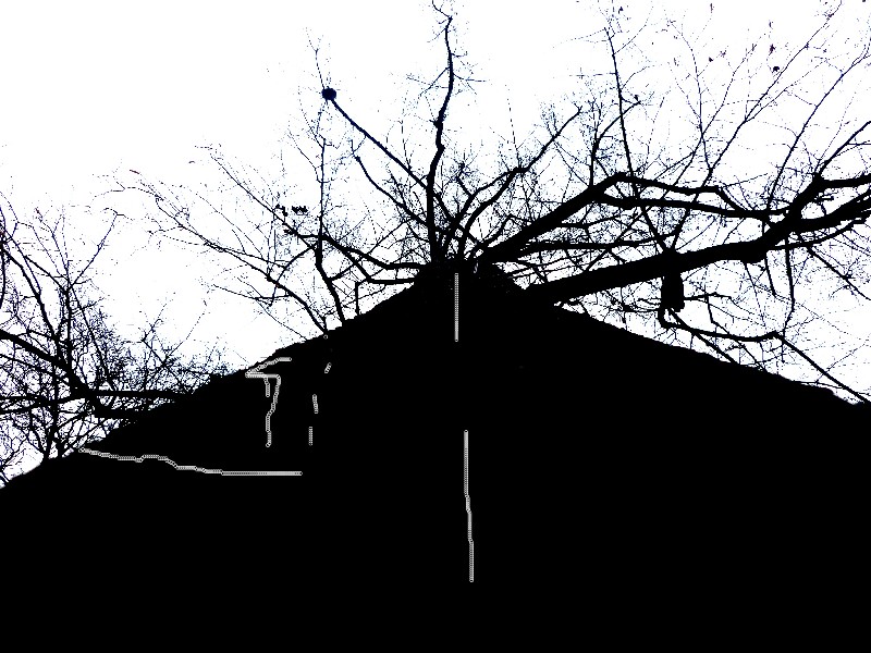P1030060