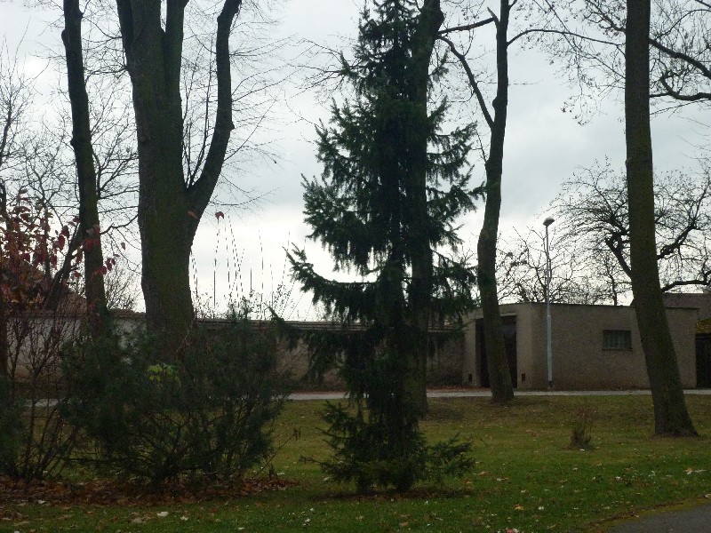 P1030064